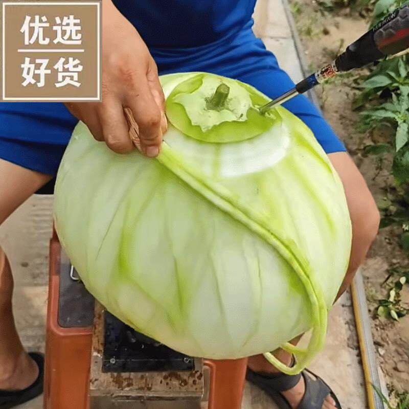 做旋葫芦条神器东北削葫芦条的工具机器旋子刮葫芦条刀手摇去皮机