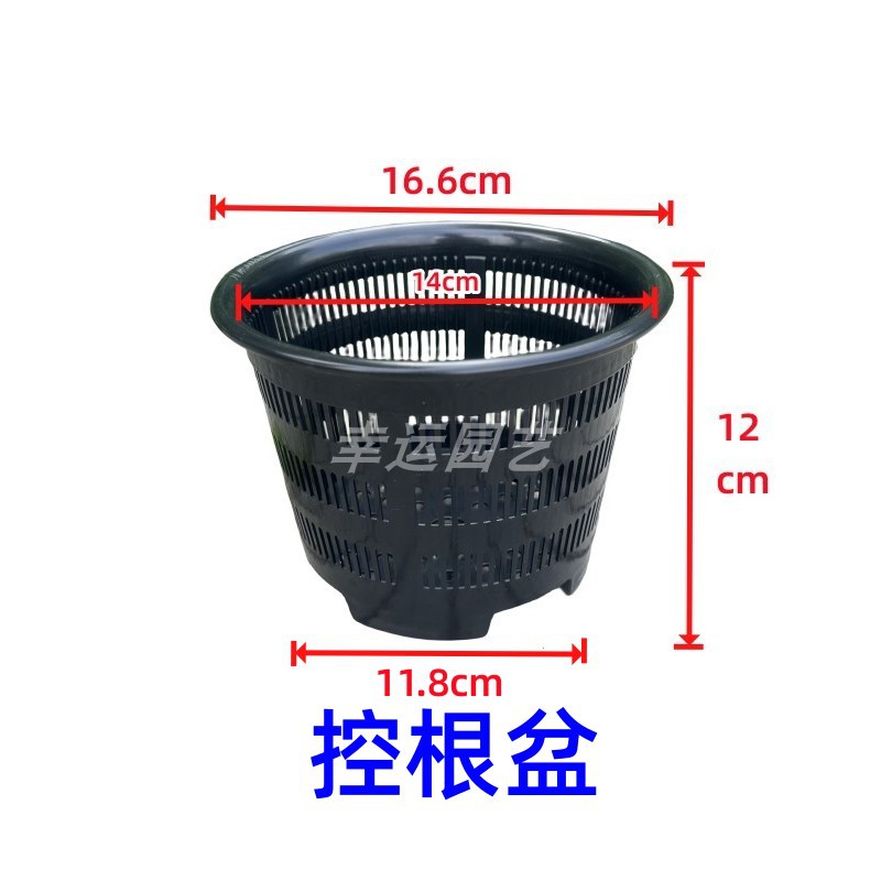 塑料气生洋兰盆石斛吊兰蝴蝶兰网盆多孔花盆透气水培栽培篮定植篮 鲜花速递/花卉仿真/绿植园艺 花盆 原图主图