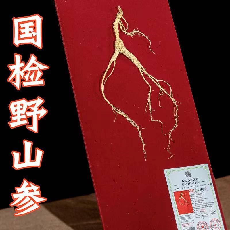【国检野山参】长白山野山参礼盒林下参移山参人参伴手礼盒野人参