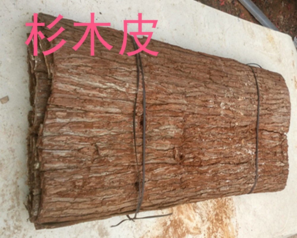 天然真杉树皮杉木皮节日装饰防腐复古包水管店面农庄房屋造景别墅