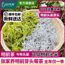 张家界明前芽头莓茶正宗特级旗舰店正品芽尖长寿藤茶春茶永顺霉茶