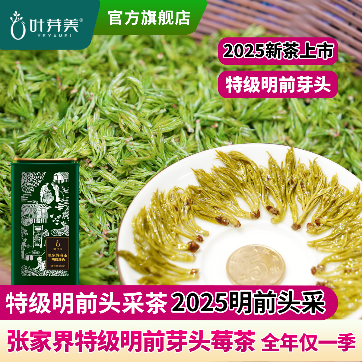 张家界明前芽头莓茶 全年仅一季