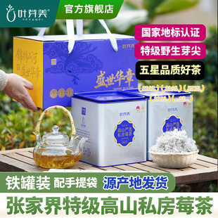 叶芽美张家界特级高山私房莓茶铁罐装野生芽尖养生茶礼盒永顺藤茶