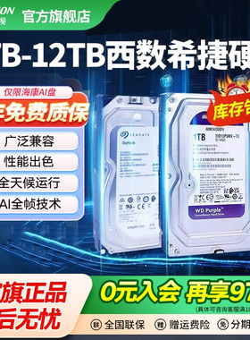 海康威视监控录像机硬盘4T6T8T 10TB 12TB电脑服务器存储机械硬盘