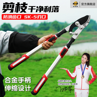 园林剪刀果树修剪树枝强力修枝剪粗枝剪大力剪花剪大省力园艺工具