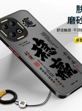 适用iQOO13手机壳新款iqoo防摔保护套13全包镜头V2408A磨砂肤感潮流iqoo13散热个性iq00高档时尚13轻薄稳赢