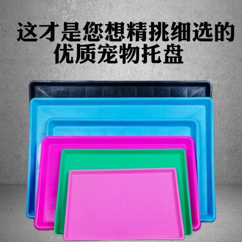 狗笼鸡鸭笼子养鸡笼底盘鸟笼接粪盘托盘大号鸡场户外兔养殖小型