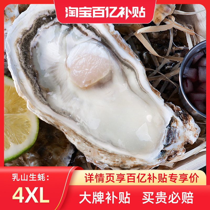 【官方直播】鲜海道乳山生蚝4XL带箱5斤鲜活特大牡蛎海蛎子海鲜ZB