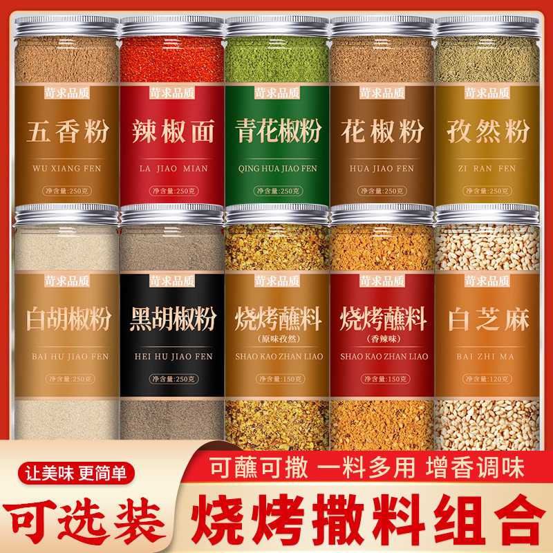 烧烤调味料组合蘸料撒料腌料