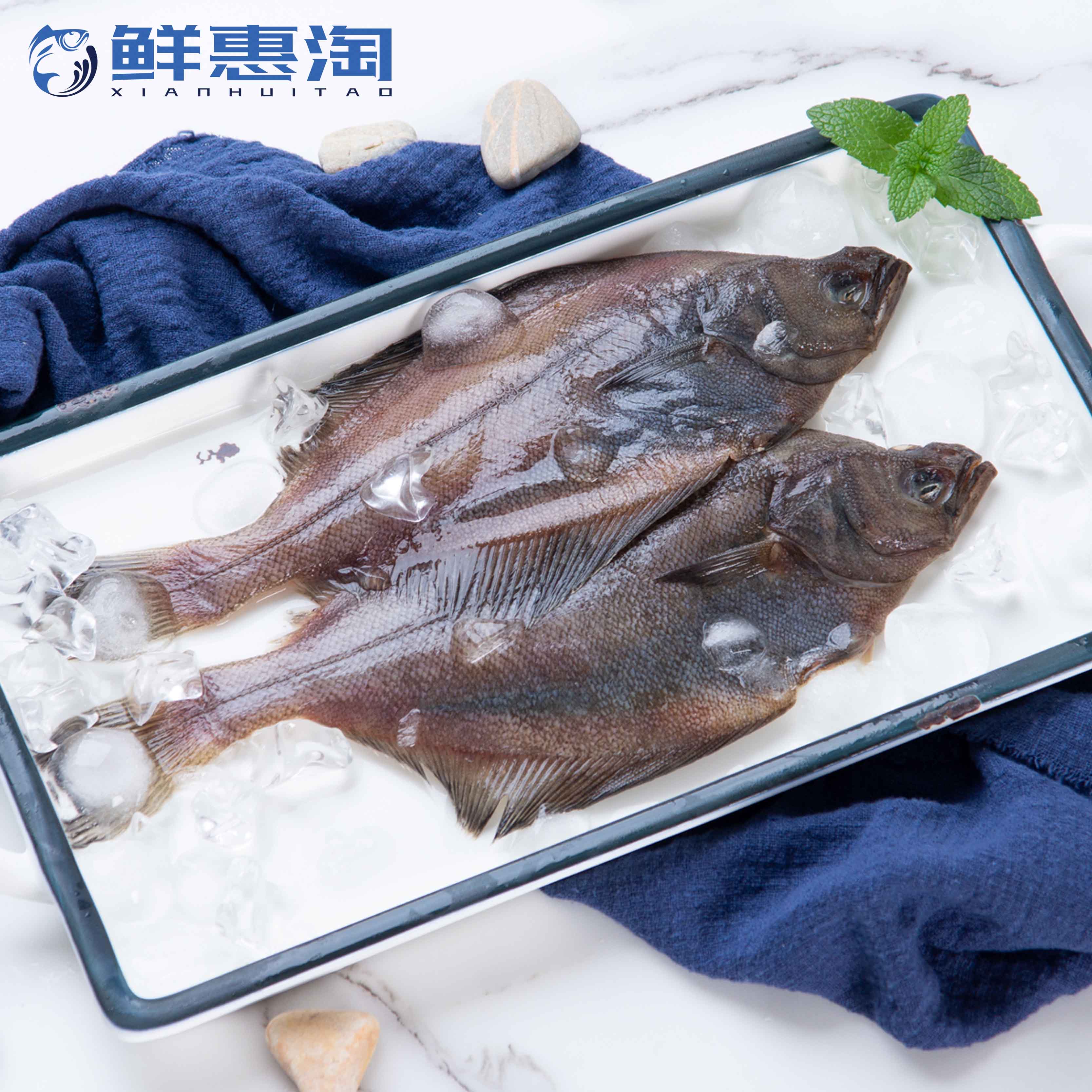 新品海捕比目鱼保鲜新鲜大偏口鱼深海碟鱼冷冻大连海鲜水产