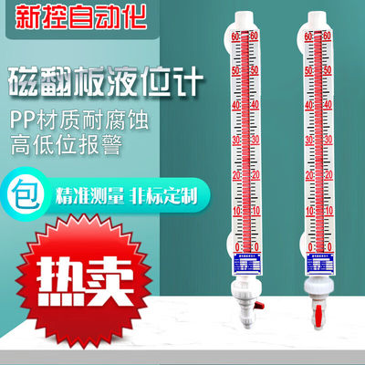 防腐磁翻板液位计带远传侧装顶装磁耦合液位计水位计PVC4-2DN25L|