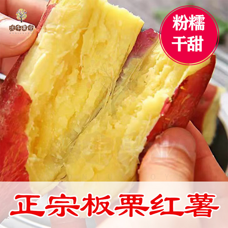 陕西板栗红薯现摘现发