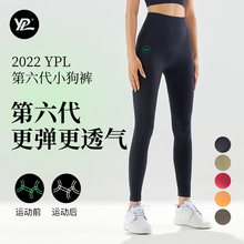高腰提臀收腹外穿健身打底裤 YPL高压能量瑜伽裤 薄款 夏季 6代小狗裤