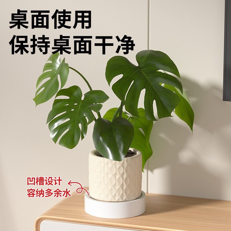 好看的高级花盆移动托盘风花卉绿植盆栽带万向轮可移动花盆底座图片