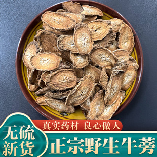 野生牛蒡根500g包邮特级中药材正品牛蒡茶新鲜纯然无硫纯牛蒡根片