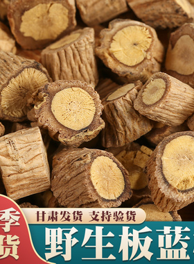 野生板蓝根中药材500g克泡茶水板蓝根块状片切片板兰根大青叶根