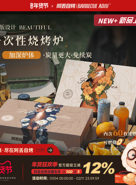 阿丢烧烤炉户外一次性烧烤炉户外烧烤架便携式无烟碳烤炉木炭炉子