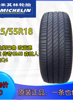 2255518米其林轮胎传奇GM8欧蓝德