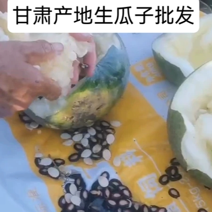 新疆西瓜籽无添农户生黑生瓜子原味办公休闲零食瓜子批发生西瓜子