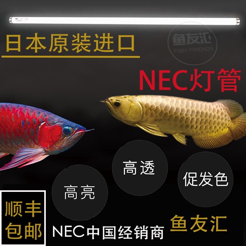 nec灯管鱼友汇龙鱼t8缸灯套6700k