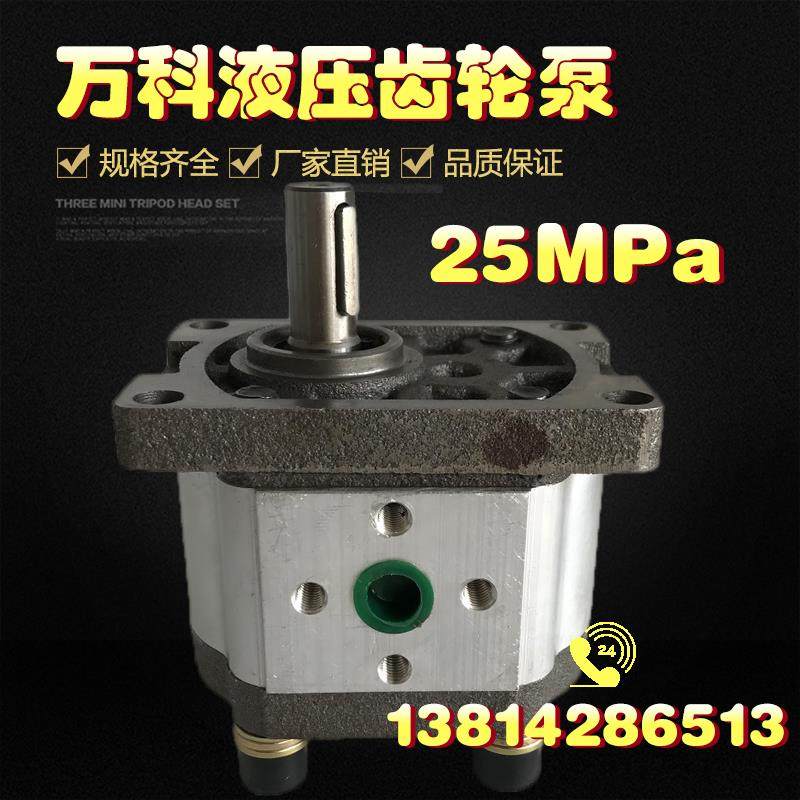 新款齿轮泵 液压油泵CBN-G310 G314 G306 G320 G325 G316淮安包邮,五金/工具,压力泵,淘宝优惠券,粉丝福利购,淘宝优惠卷