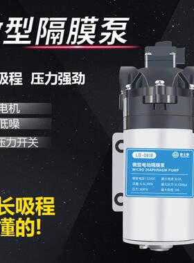 新款雷士泰微型电动隔膜自吸泵直流交流增压泵家用大吸程小水包邮