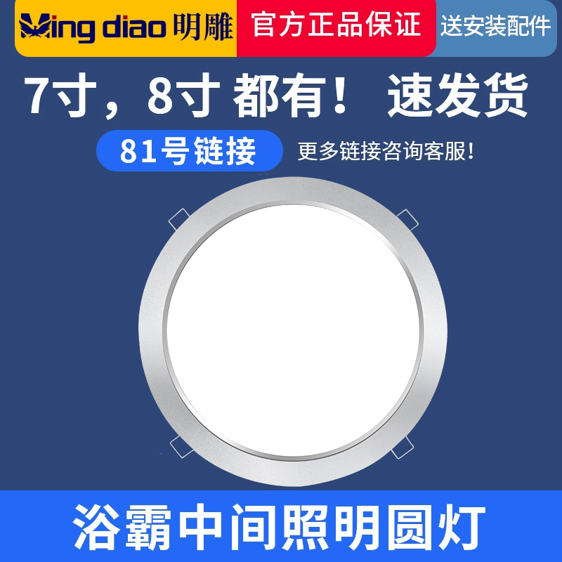 浴霸灯板替换集成光源7通用LED寸吊顶照明配件8中间圆面板 家装灯饰光源 LED球泡灯 原图主图