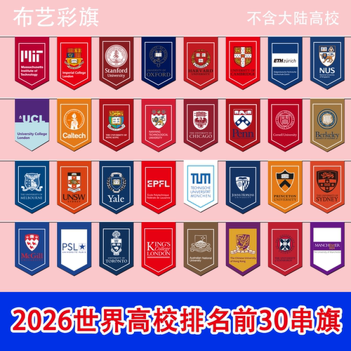 世界高校排名前30串旗国外高校大学校徽悬挂装饰旗帜彩旗挂旗世界名校QS串旗美国英国香港新加坡高校彩旗定制