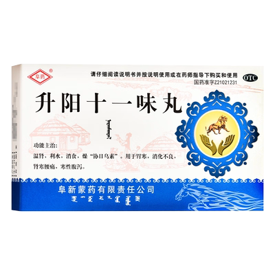 【阜药】升阳十一味丸(那仁满都拉)0.2g*60粒/盒(每10粒重2g)