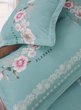 定做加厚磨毛学生宿舍彩绒棉枕头套简约柔软亲肤棉小清新单件枕套