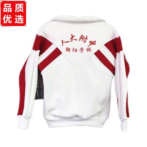 北京人大附中朝阳学校校