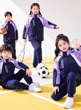 辽宁省沈阳市小学生统一