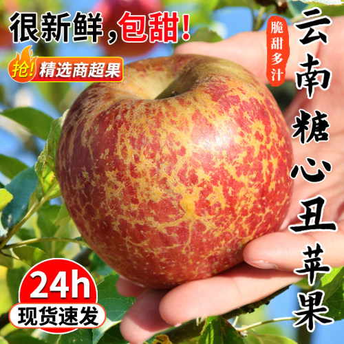2025年新果云南昭通冰糖心丑苹果
