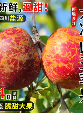 2025四川盐源大凉山冰糖心丑苹果新鲜水果当季整箱10斤包邮红富士
