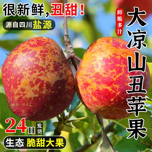 大凉山丑苹果 新鲜品质大果 薄皮香脆甜多汁