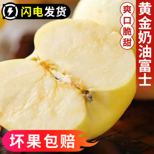 山东烟台黄金奶油富士正宗栖霞维纳斯苹果新鲜水果脆甜9整箱 包邮