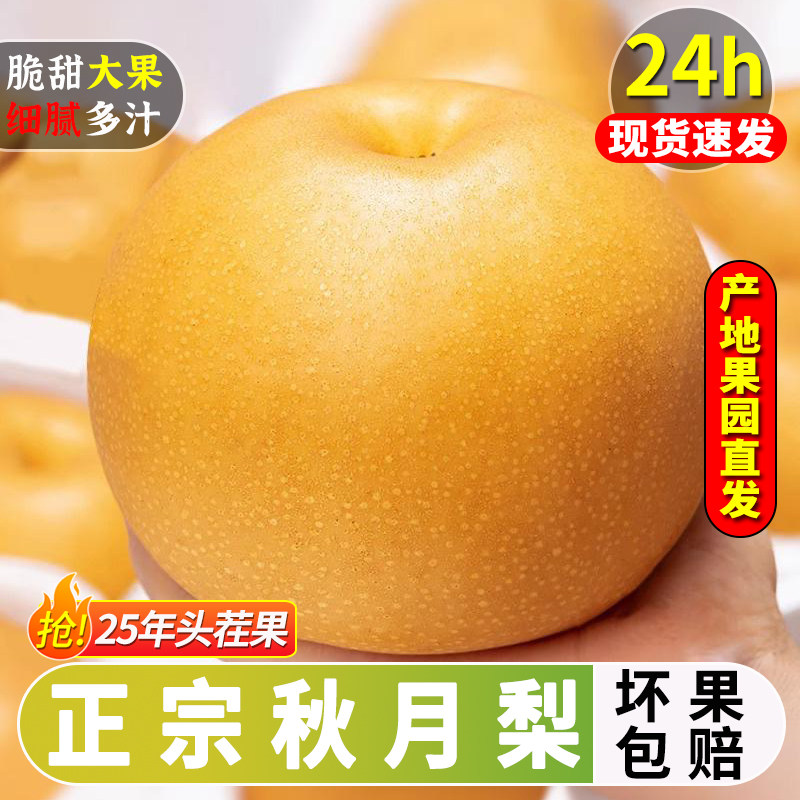 山东莱阳秋月梨新鲜梨子水果整箱