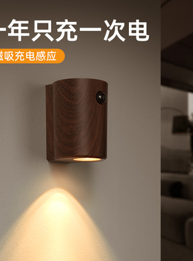 USB充电智能胡桃木纹氛围灯人体感应灯入户门人来即亮磁吸小夜灯
