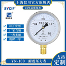 气压油压水压真空 充油表 上海仪川仪表 耐震防震抗震压力表YN100