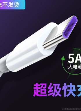 5a超级快充type-c数据线tpc适用tapec华为tpyec荣耀tapyc小米tapyc手机tepyc充电线tepc/typc/tapc/tipc/topc