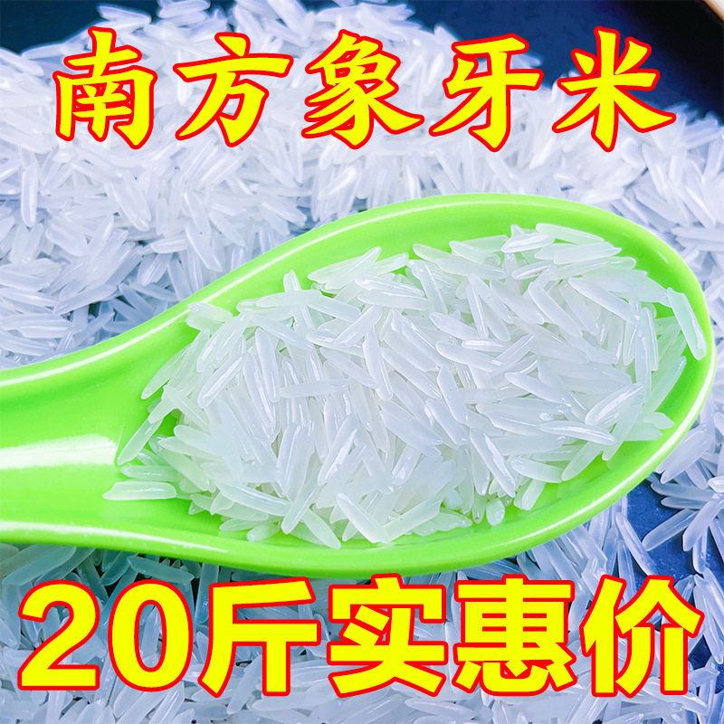 【新客特价】新鲜大米象牙长粒香正宗优质香米煲仔饭厂家直发