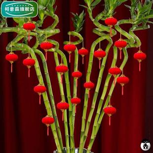 新年春节家庭布置装饰挂件过年小灯笼挂饰家用喜庆挂树上盆景吊饰