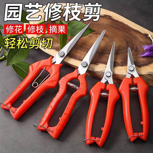 园艺剪采果剪稀果剪葡萄疏花剪修花修枝剪柑橘子花椒采摘摘果剪刀