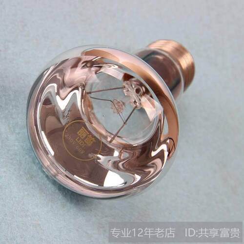 浴霸照明LED9W中间照明灯泡60W40W