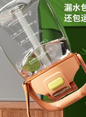2000ml水杯大容量水壶女耐高温水瓶儿童超大吸管杯子夏季大肚杯2L