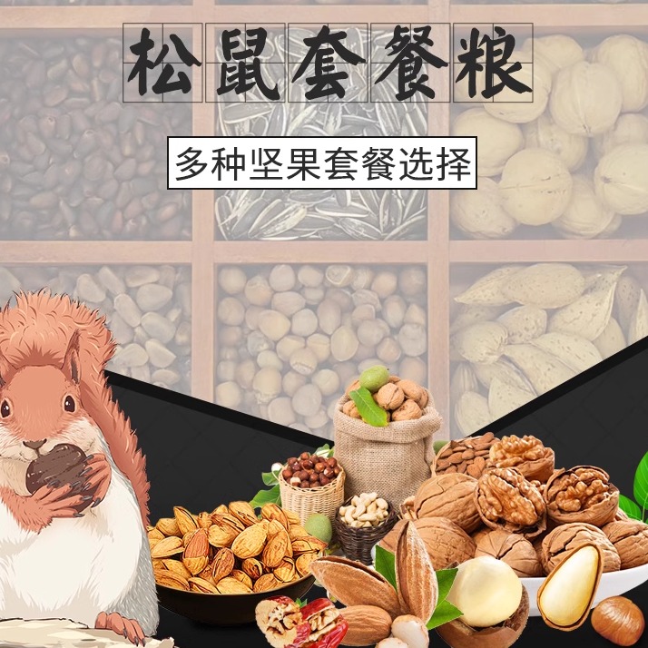 松鼠飛鼠糧食營養(yǎng)生堅(jiān)果主糧套餐磨牙飼養(yǎng)堅(jiān)果黃山主食堅(jiān)果飼料