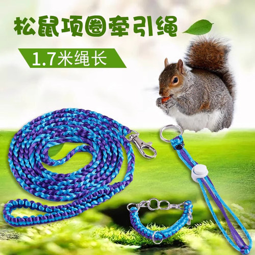 松鼠牵引绳蜜袋外出背带项圈铃铛