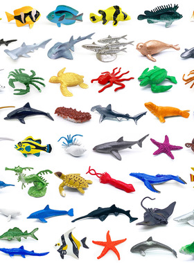 56款2-3英寸3-7cm实心海底小生物小海洋考古模型玩具