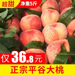 平谷大桃5北京水蜜桃水果新鲜甜久保脆桃鲜桃当季硬桃子整箱10