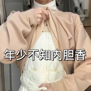 秋冬羽绒马甲女保暖背心内胆 2025新款 终于买到了自己 人生内搭